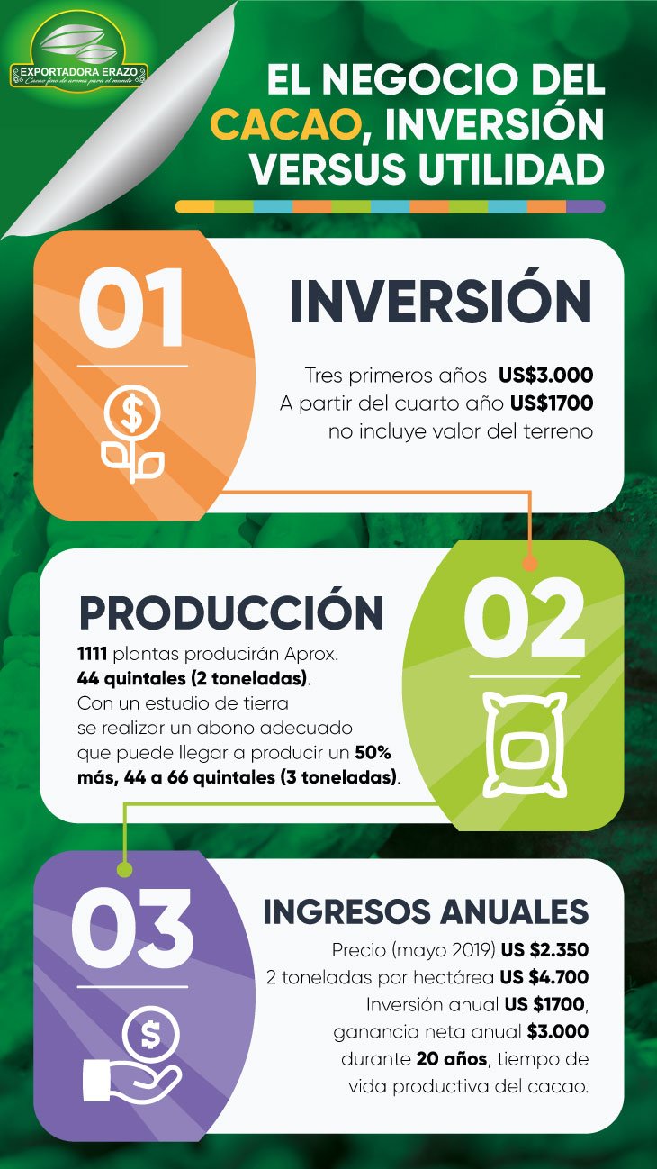 El negocio del Cacao, inversión versus utilidad.
