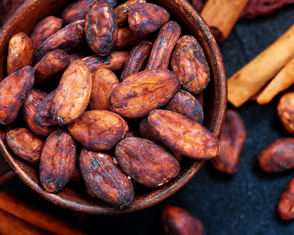 Granos de cacao secos en sacos de yute listos para exportación